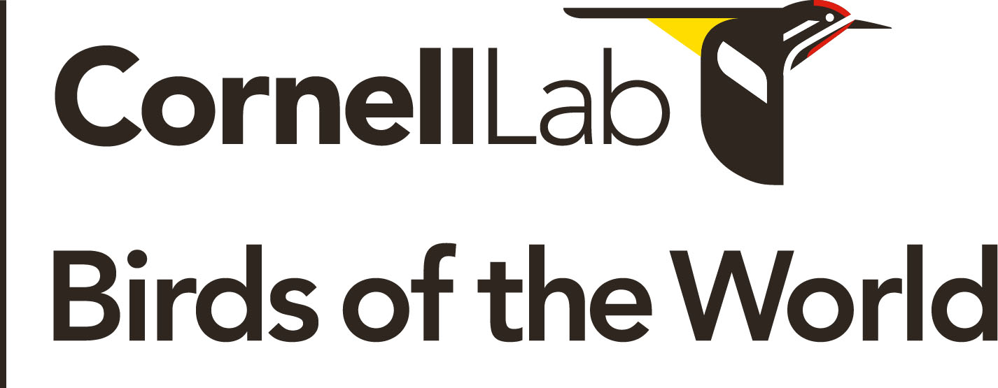 Cornell Lab Birds of the World Logo with an illustration of a bird